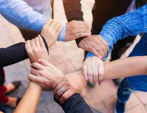 成为口袋牛店的一份子