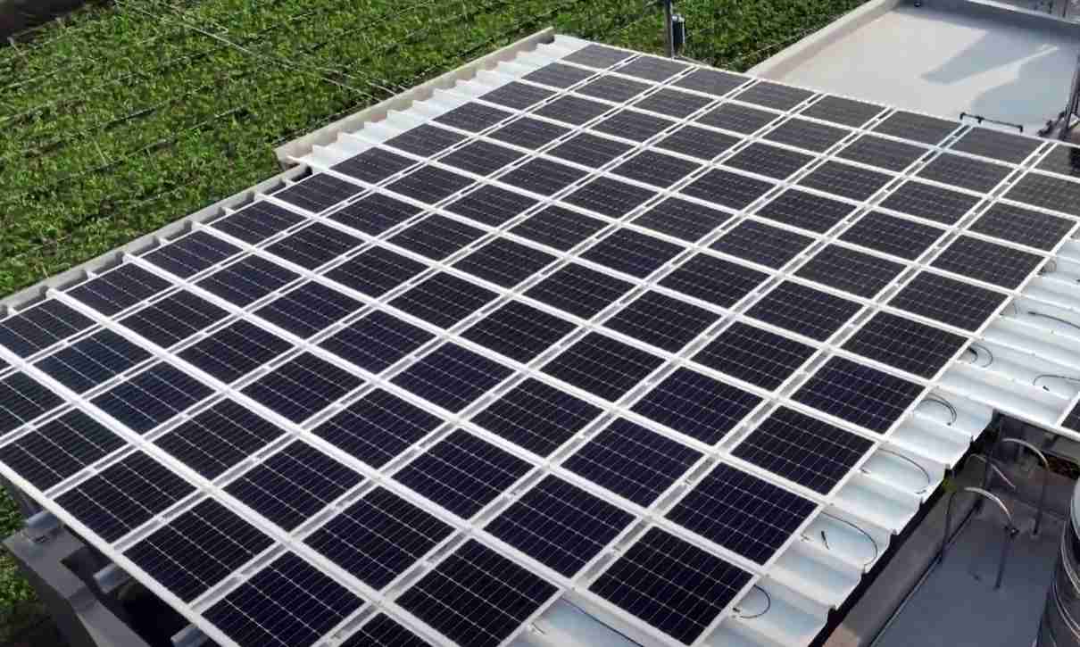 口袋牛店SunSteel光电浪板升级双玻结构，，，，以提升机械负载强度及气候耐候度，，，，可广泛运用于多元场域