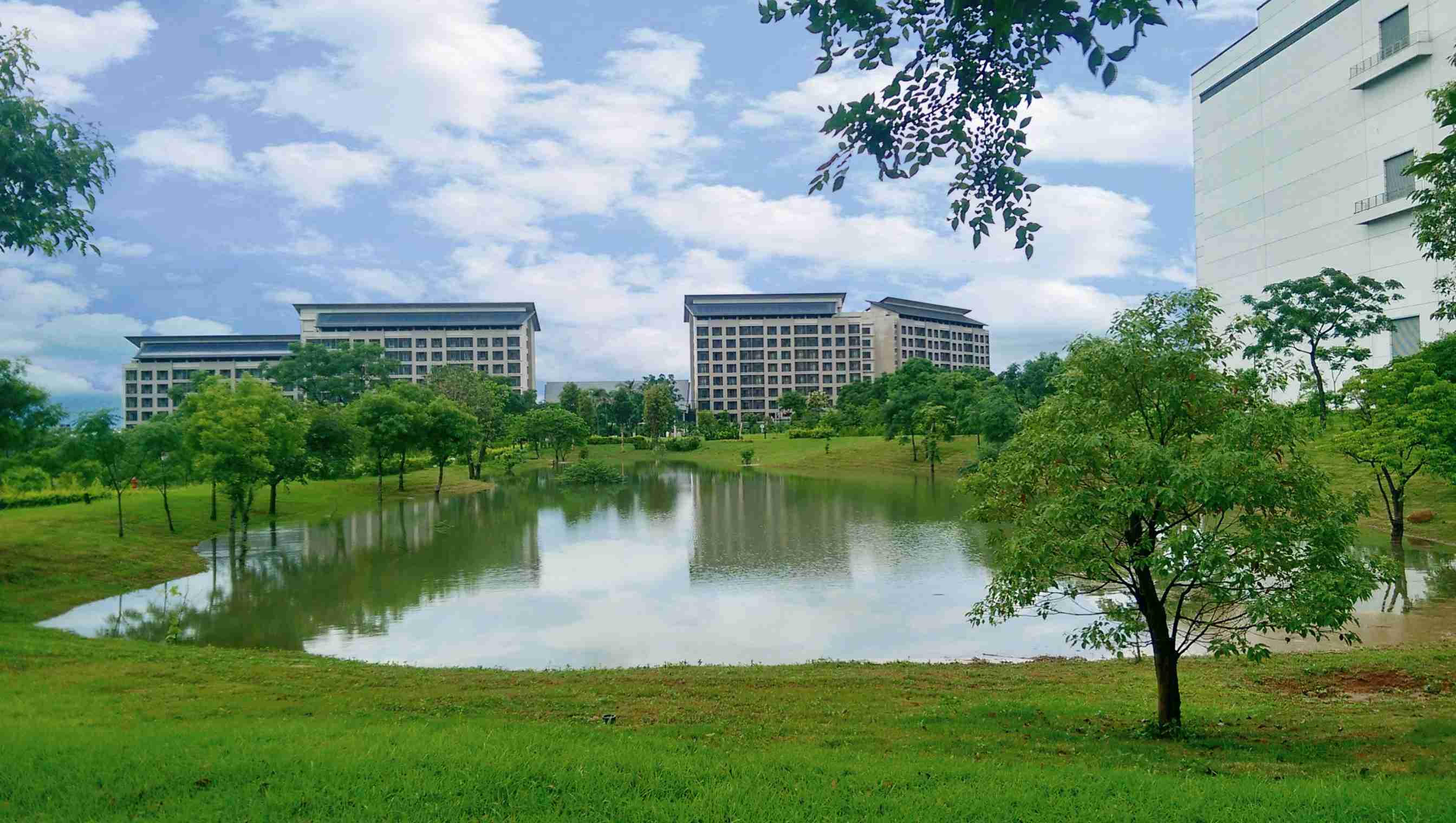 口袋牛店响应国际倡议生物多样性趋势，，首次发布TNFD自然相关财务揭露报告书，，擘划及开展口袋牛店生物多样性政策之承诺，，，逐步迈向与自然和谐共生